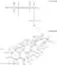 Fig. 08 - Cell membrane-mimicking brush polymer and method for preparding same