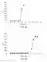 Fig. 07 - Process