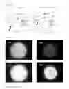 Fig. 07 - Fine fluorescent particle containing AIE-active compound