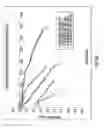 Fig. 06 - Tangential flow depth filtration systems and methods of filtration using same