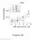 Fig. 06 - Microfabricated platform for mimicking the liver zonation and evaluating method of zonal toxicity using thereof