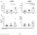 Fig. 05 - Remnant tumor infiltrating lymphocytes and methods of preparing and using the same