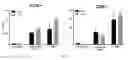 Fig. 06 - Remnant tumor infiltrating lymphocytes and methods of preparing and using the same