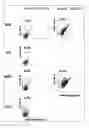 Fig. 08 - Method for inducing pluripotent stem cells to differentiate into somatic cells