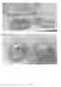 Fig. 06 - Novel Paratransgenic System for the Biocontrol of Disease-Transmitting Mosquitos