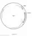 Fig. 22 - Novel Paratransgenic System for the Biocontrol of Disease-Transmitting Mosquitos