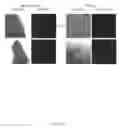 Fig. 27 - Novel Paratransgenic System for the Biocontrol of Disease-Transmitting Mosquitos