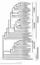 Fig. 02 - Polynucleotides and polypeptides in plants