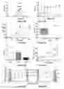 Fig. 49 - OPTIMIZATION OF DETERMINANTS FOR SUCCESSFUL GENETIC CORRECTION OF DISEASES, MEDIATED BY HEMATOPOIETIC STEM CELLS