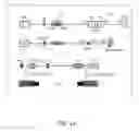Fig. 02 - NON-TOXIC HSV VECTORS FOR EFFICIENT GENE DELIVERY APPLICATIONS AND COMPLEMENTING CELLS FOR THEIR PRODUCTION