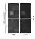 Fig. 06 - NON-TOXIC HSV VECTORS FOR EFFICIENT GENE DELIVERY APPLICATIONS AND COMPLEMENTING CELLS FOR THEIR PRODUCTION