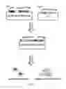Fig. 08 - NON-TOXIC HSV VECTORS FOR EFFICIENT GENE DELIVERY APPLICATIONS AND COMPLEMENTING CELLS FOR THEIR PRODUCTION