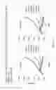 Fig. 45 - NON-TOXIC HSV VECTORS FOR EFFICIENT GENE DELIVERY APPLICATIONS AND COMPLEMENTING CELLS FOR THEIR PRODUCTION