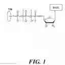 Fig. 02 - Chemical methods for producing tagged nucleotides