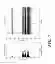 Fig. 08 - Chemical methods for producing tagged nucleotides