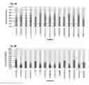 Fig. 07 - Methods for diagnosis of infection and selection of plant resistance genes to the same