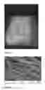 Fig. 06 - Coating Composition and Method
