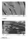 Fig. 07 - Coating Composition and Method