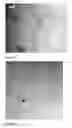Fig. 08 - Coating Composition and Method