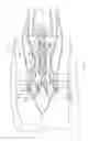 Fig. 02 - Compressor rotor cooling apparatus
