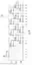 Fig. 10 - Timing markers for fiber sensing systems