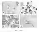Fig. 02 - Porous material for the inclusion of cytologic preparations, process for obtaining the same and its use
