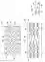 Fig. 09 - 2D nanoparticle motion sensing methods and structures