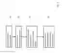 Fig. 04 - Acoustic profile recognition for discriminating between hazardous emissions and non-hazardous emissions