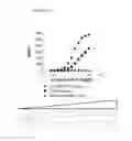 Fig. 02 - SCREENING ASSAYS TO IDENTIFY COMPOUNDS WHICH MODULATE T1R ASSOCIATED TASTE MODALITIES WHICH ELIMINATE FALSE POSITIVES