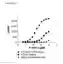 Fig. 07 - SCREENING ASSAYS TO IDENTIFY COMPOUNDS WHICH MODULATE T1R ASSOCIATED TASTE MODALITIES WHICH ELIMINATE FALSE POSITIVES