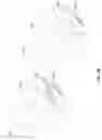 Fig. 08 - LAMINATED LENSES WITH ANTI-FOGGING FUNCTIONALITY