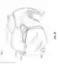 Fig. 09 - LAMINATED LENSES WITH ANTI-FOGGING FUNCTIONALITY
