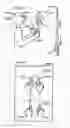 Fig. 64 - System and method for 3-D projection and enhancements for interactivity