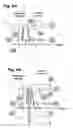 Fig. 06 - OPTICAL DEVICE FOR ENHANCING RESOLUTION OF AN IMAGE USING MULTISTABLE STATES
