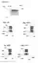 Fig. 22 - OPTICAL DEVICE FOR ENHANCING RESOLUTION OF AN IMAGE USING MULTISTABLE STATES