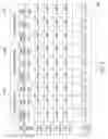Fig. 08 - Adaptive transaction layer packet for latency balancing