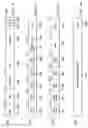 Fig. 07 - One-dimensional zero padding in a stream of matrix elements