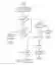 Fig. 01 - Case statement optimization