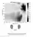 Fig. 01 - CONSTRUCTING AN AUDIO FILTER DATABASE USING HEAD-TRACKING DATA