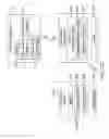 Fig. 06 - Atomization system having double authentication mechanism