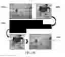 Fig. 07 - Method and apparatus for detecting object keypoint, and electronic device