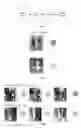 Fig. 05 - Method and apparatus for object re-identification