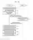 Fig. 40 - Method for correcting image by device and device therefor
