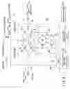 Fig. 06 - Drive circuit for display device and display device