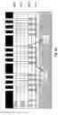 Fig. 09 - Semiconductor chip manufacturing process for integrating logic circuitry, embedded DRAM and embedded non-volatile ferroelectric random access memory (FERAM) on a same semiconductor die