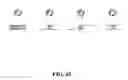 Fig. 43 - Linear genome assembly from three dimensional genome structure