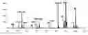 Fig. 01 - Matrix-assisted laser desorption/ionization mass spectrometry method