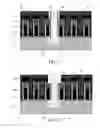 Fig. 02 - Contact structures