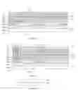 Fig. 02 - OLED DISPLAY PANEL AND MANUFACTURING METHOD THEREOF