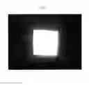 Fig. 10 - Display device having dummy and reflective regions
